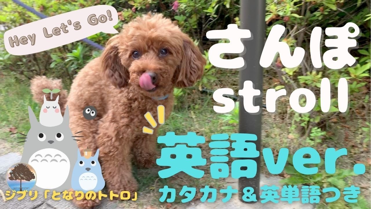 🌳となりのトトロ「さんぽ」英語ver🌳英語カタカナ＆解説付 | ジブリ🐩 byねるひる