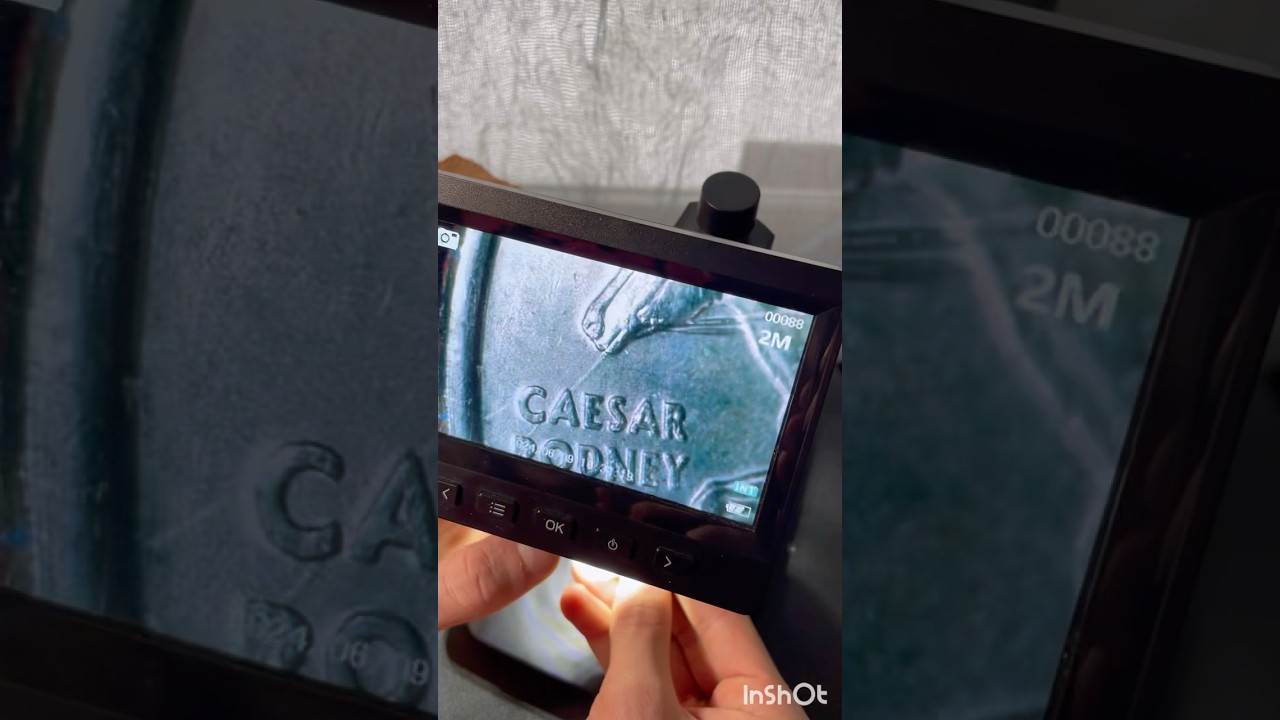 Die crack & Die chip errors found in $40 quarter hunt