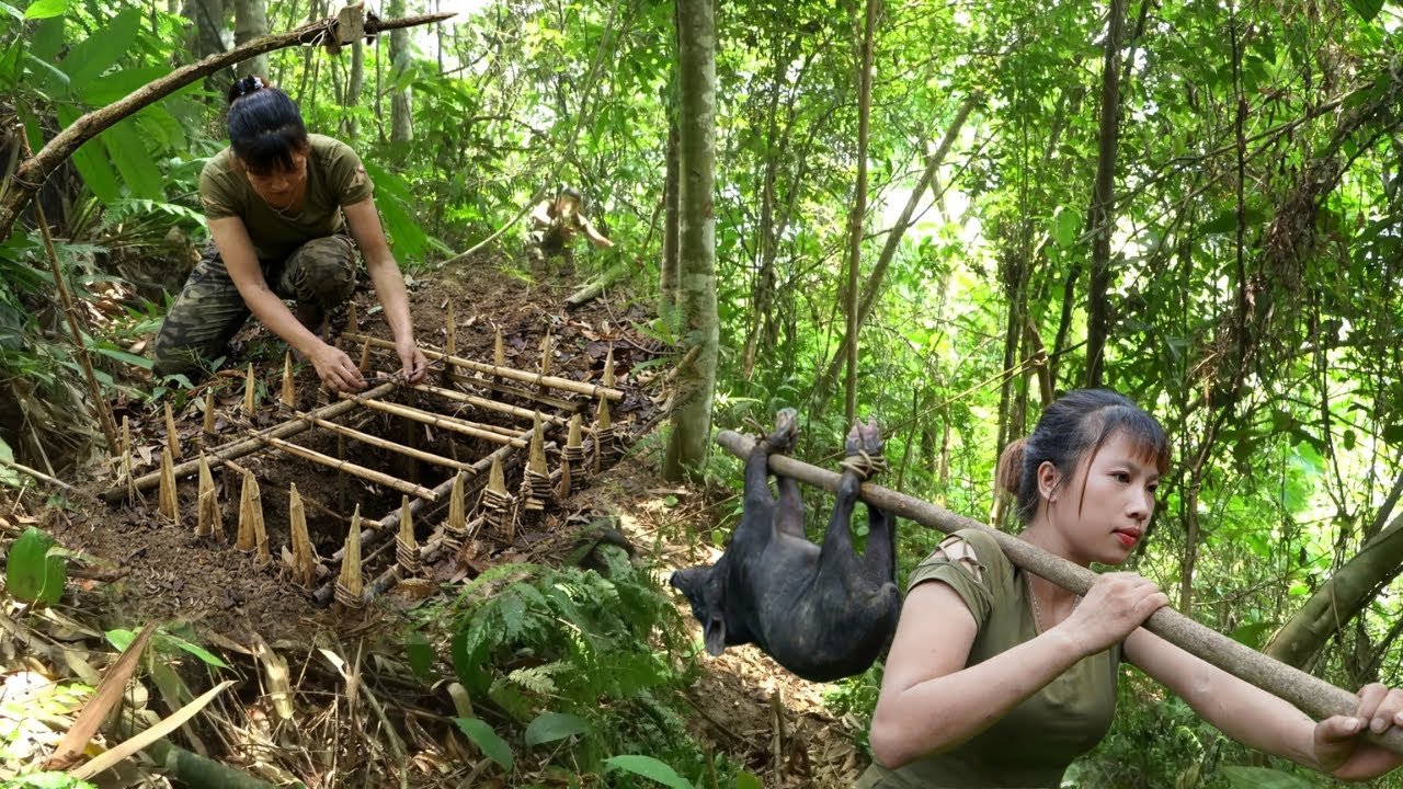 Tracking Wild Boar in the Forest Alone | Emergency Trap Setup for Survival