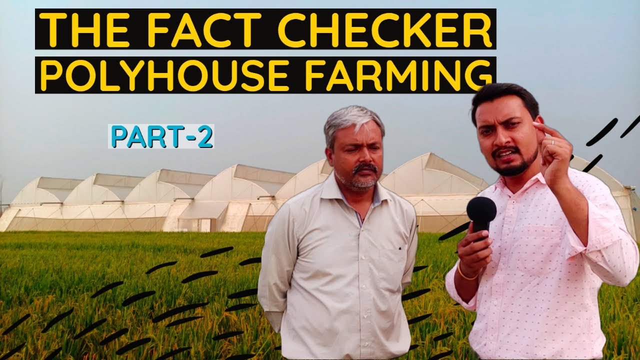 पॉलीहाउस खेती के फायदे, नुकसान और हकीकत | Reality Check: Best Polyhouse Farming in india #part_2