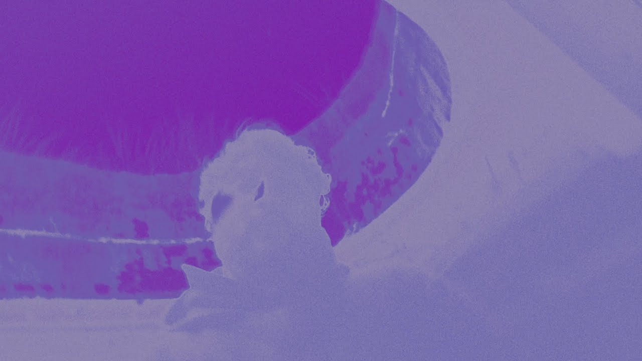 KTX - TKO (Official Video)