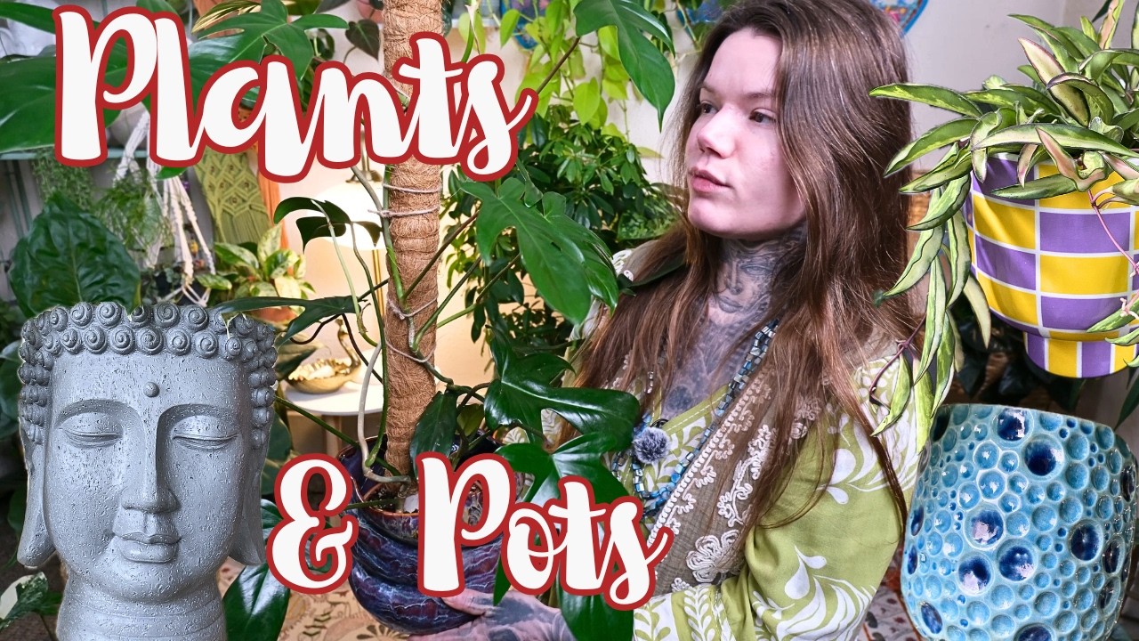 My fave PLANT And POT Combinations In My Houseplant Collection