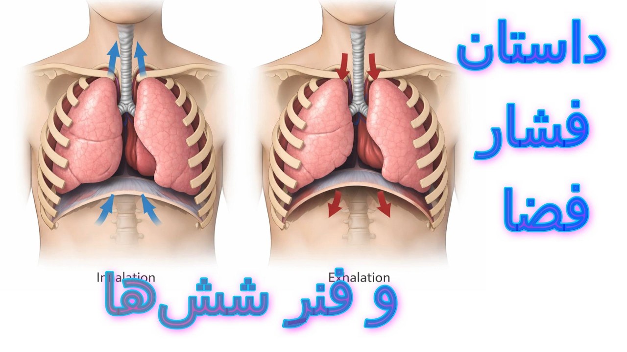 یه فنر کوچولو، یه بادکنک ساده… و یه فهم عمیق 🎈🌀 | تنفس موندگار