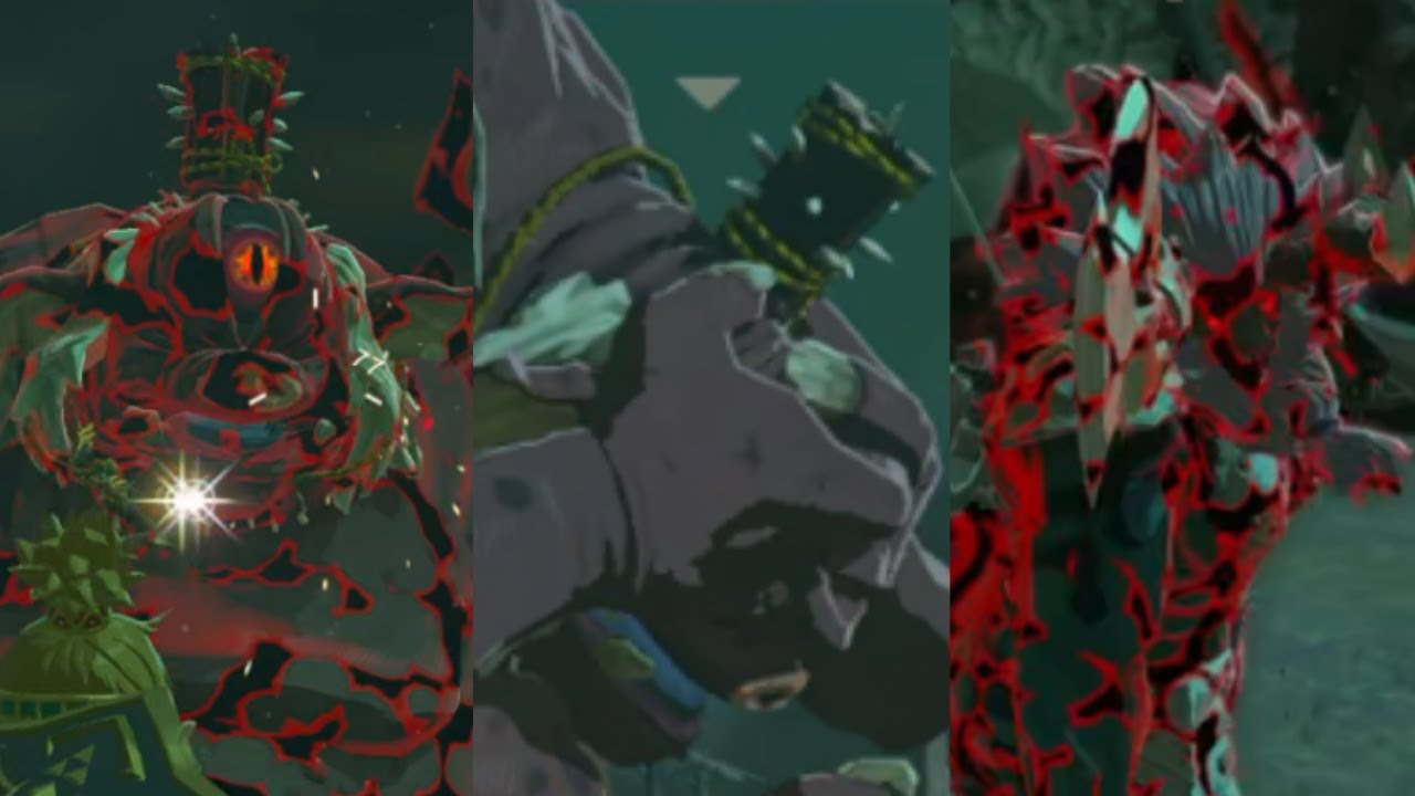 【魔物ボスキル集７】２種類ヒノック＆大苦戦青髭ライネル３連戦！！！【ティアキン】