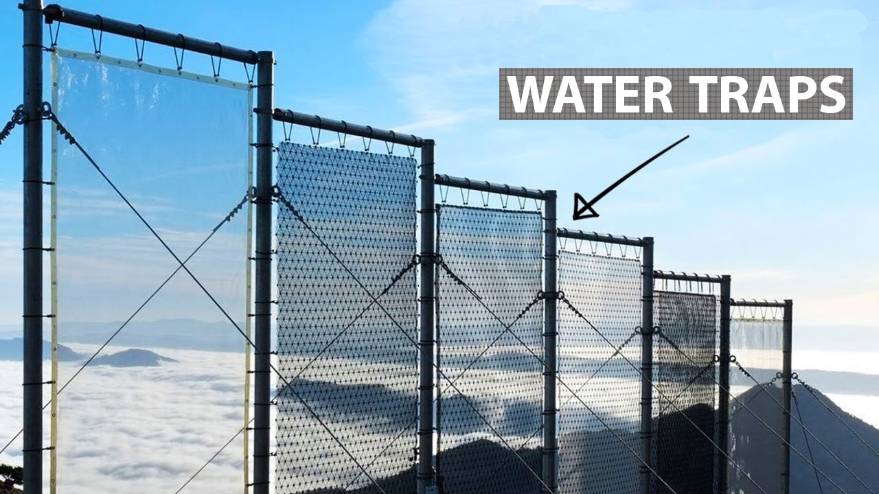 Как эти сети собирают воду в засушливой Сахаре?
