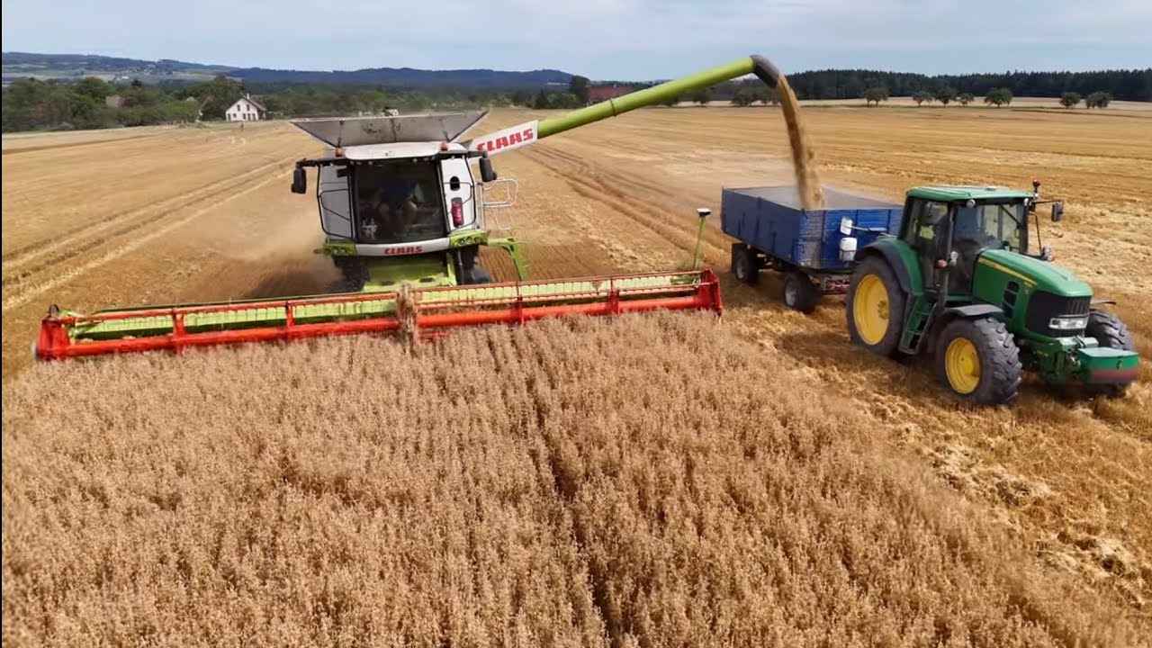 Žně sklizeň ovsa Farma Dvořák 100ha pole