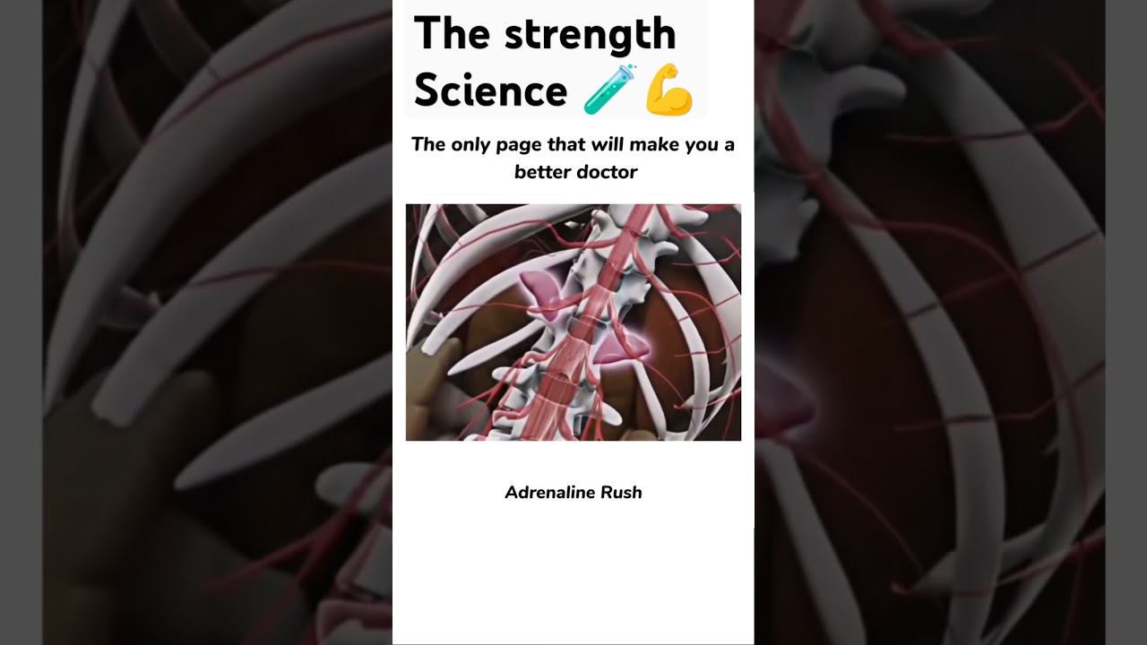 Adrenaline Rush Explained: The Science Behind the Thrill