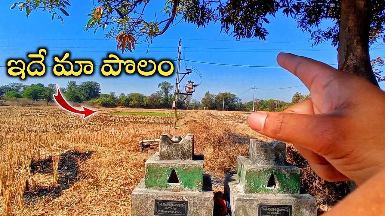 Exploring my Farm 🌾 | Vlog - 008 💙 | #vlog