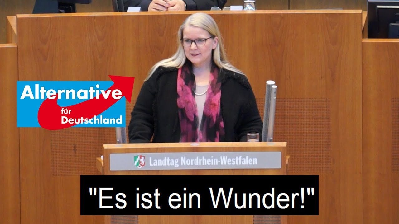 + AfD + Kinderwunschprogramm f&ouml;rdern? Diese Medaille hat zwei Seiten...