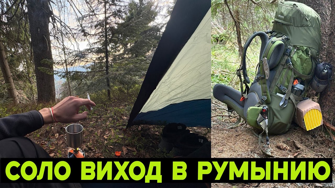 Подготовка к походу за грибами, заняла 20 дней.