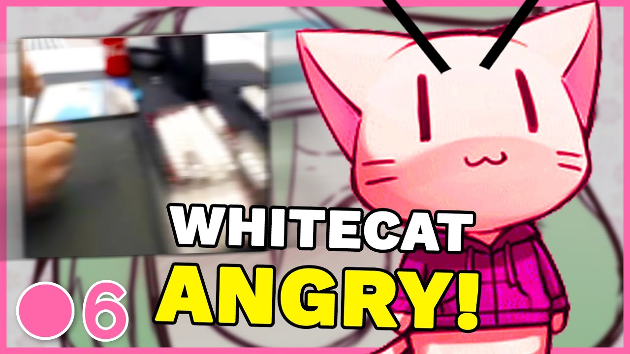 AngryCat! WhiteCat CHOKES! - osu! Catch-Up 6 (Highlights)
