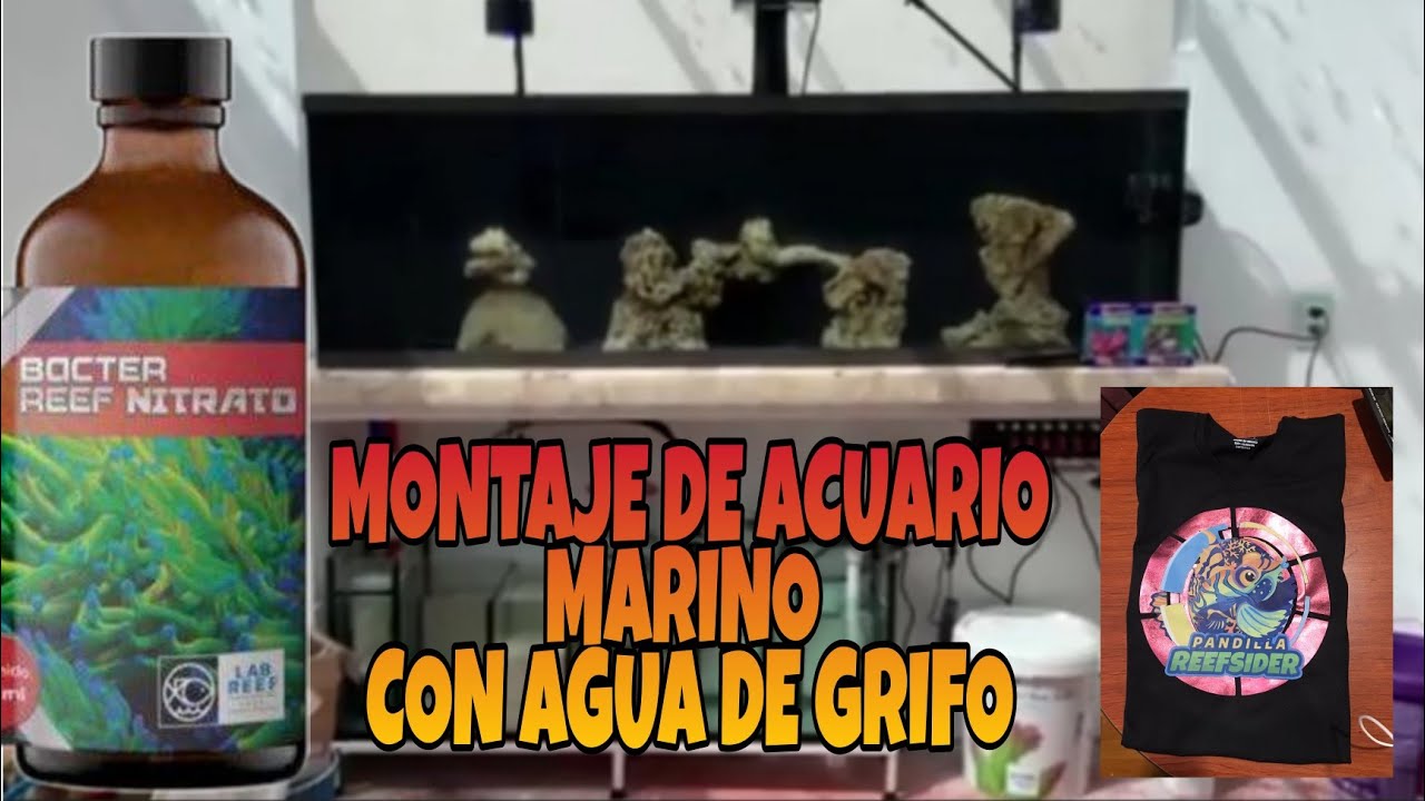 MONTAJE DE ACUARIO MARINO CON AGUA DE GRIFO/LLAVE