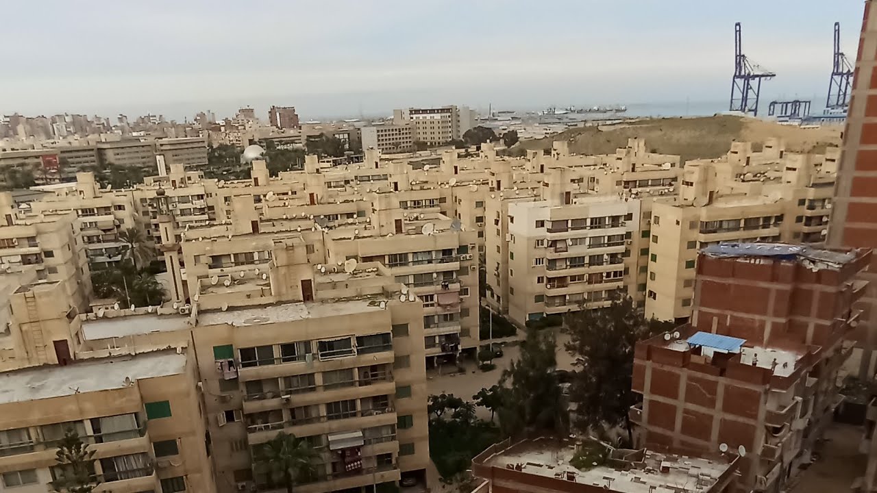 تمليك الأسكندرية طوسون المستشارين 140م مليون و500