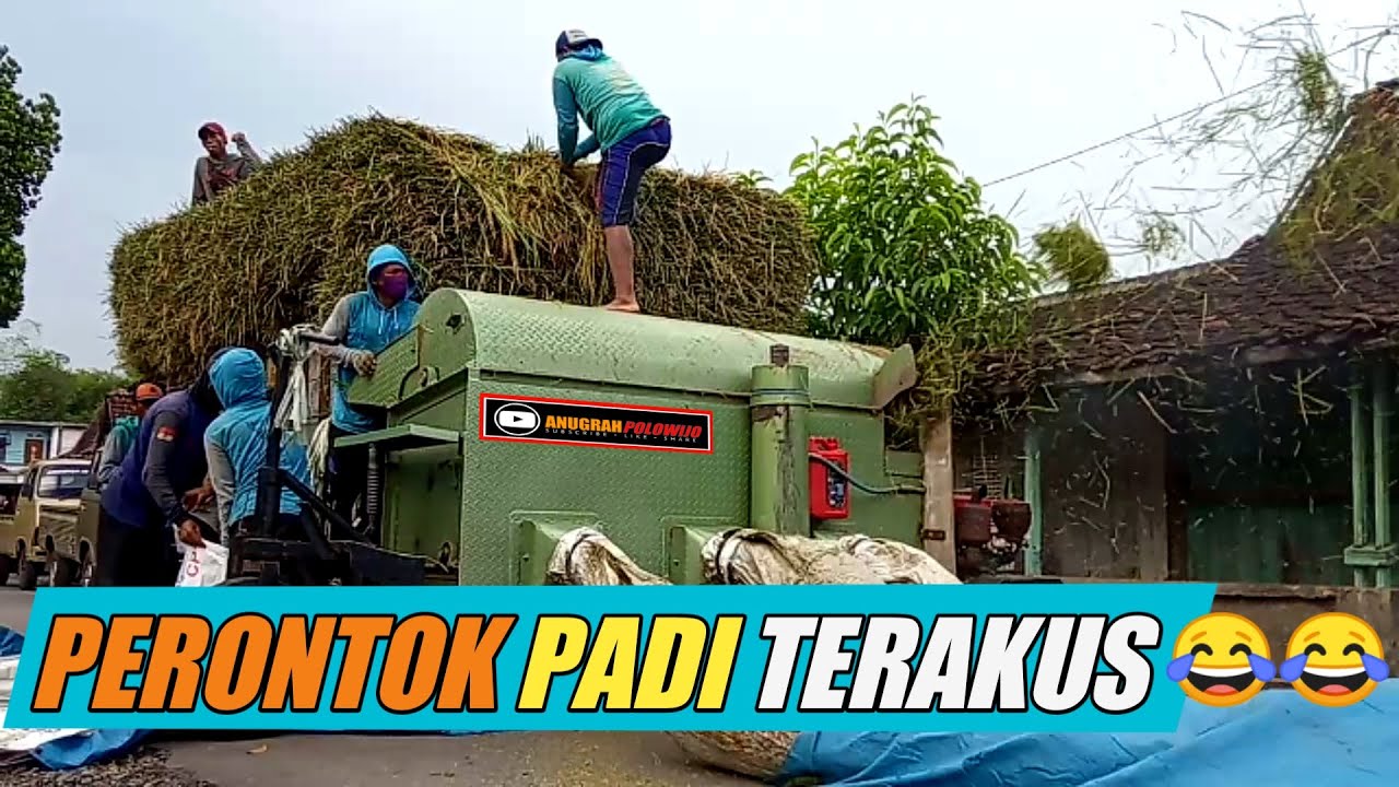PERONTOK PADI RAKSASA || HEREX PARI