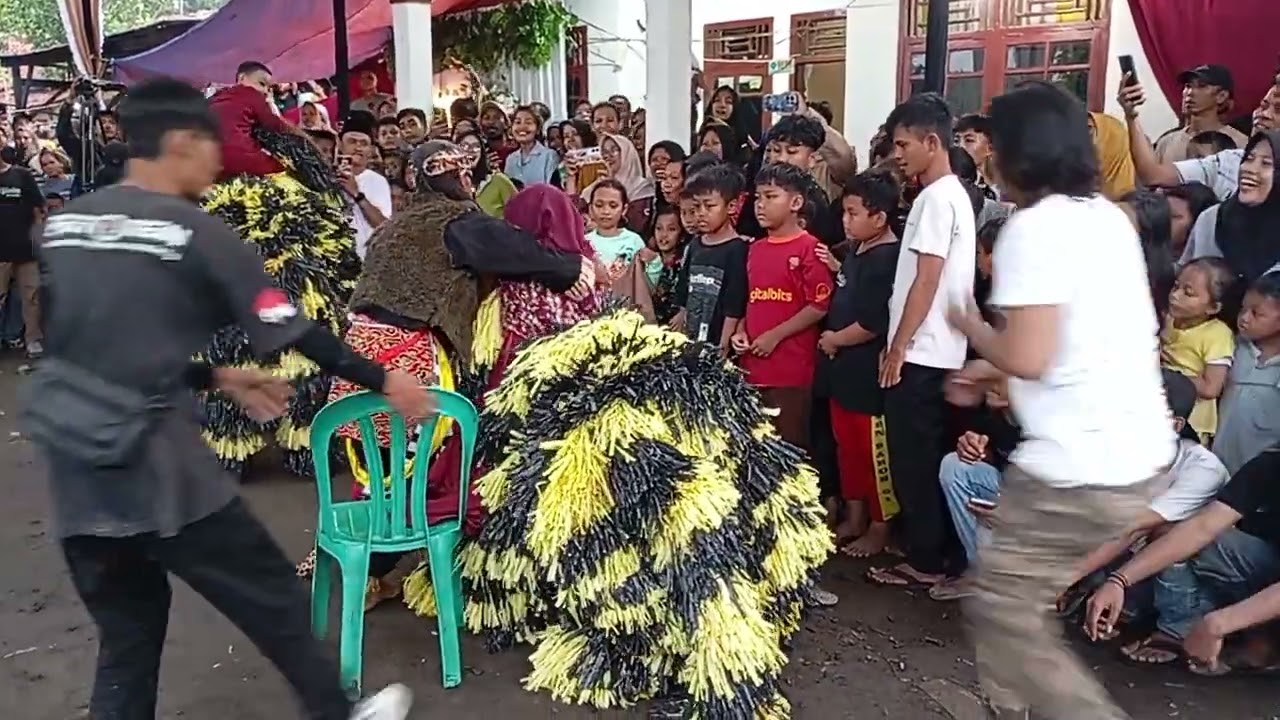 Can-Macanan || The Tigers Seni Burok MJM live Desa Baros Brebes 2025