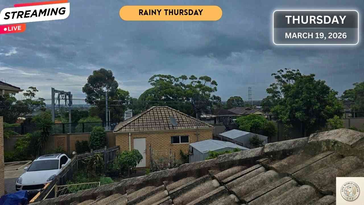 ​🔴 LIVE: Sydney Thursday View – Peak Productivity & Deep Focus ☀️ 19.03.2026
