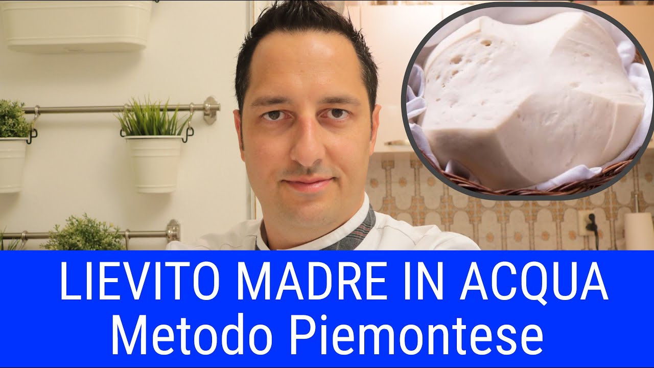 LIEVITO MADRE IN ACQUA - METODO PIEMONTESE - Caratteristiche, gestione, processo produttivo