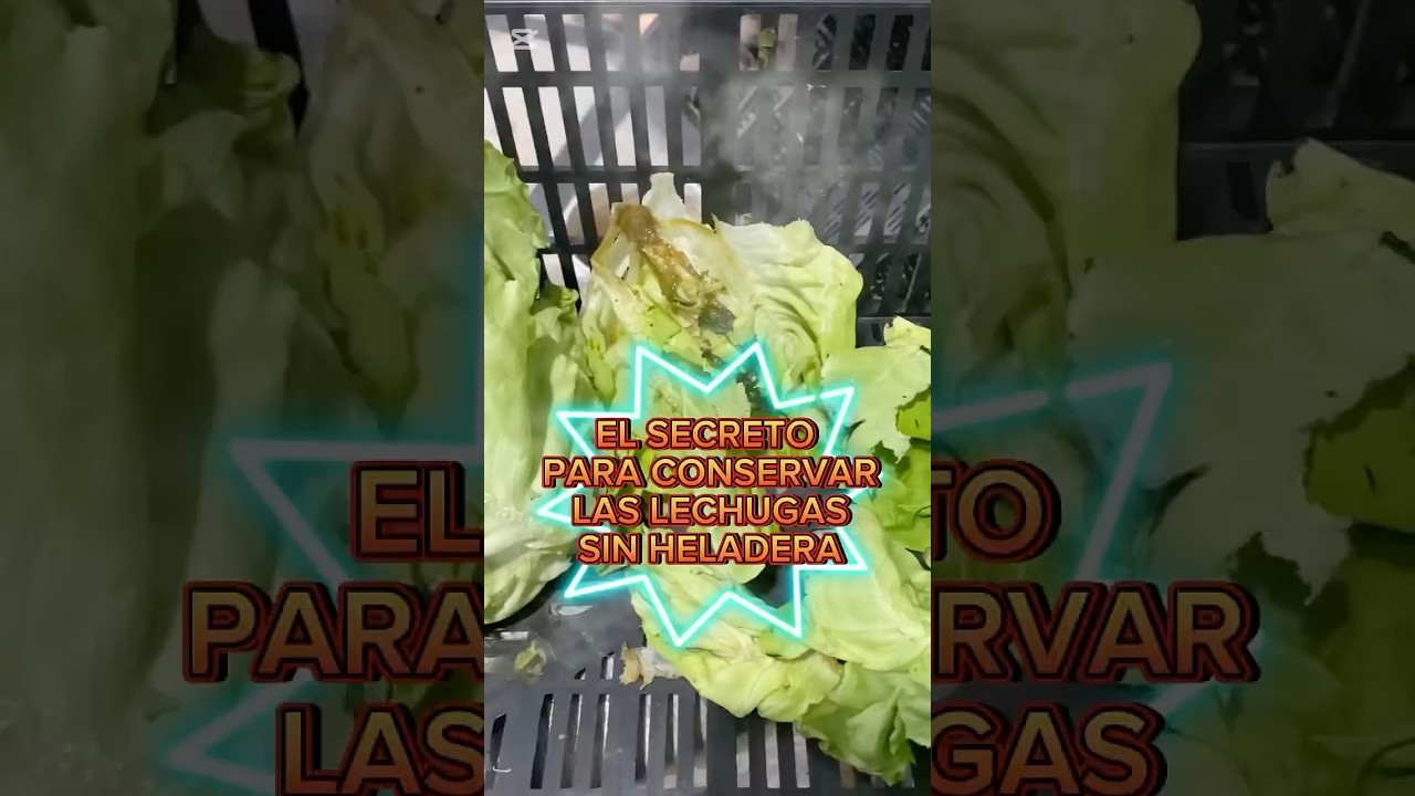 Asi conservamos la Lechuga en mi verduler&iacute;a #verduleria #lechuga #mercadocentral