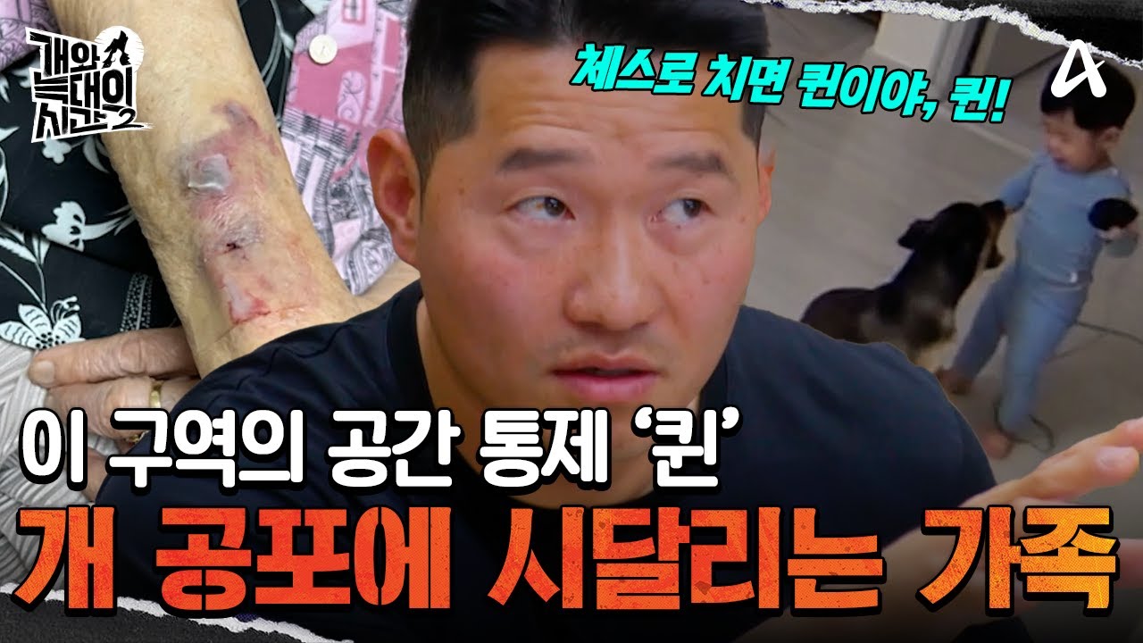 피해자만 9명?! 자신의 통제에서 벗어나면 누구든 물 수 있다! 공간 통제 퀸 '다온' | 개와 늑대의 시간2 14 회
