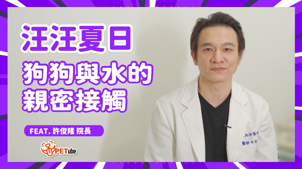 汪汪夏日：狗狗與水的親密接觸 Feat.許俊隆 院長【哈寵小學堂】｜#哈寵PETube 第287集