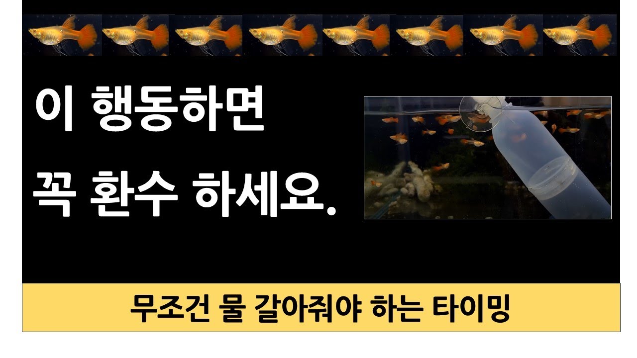 [KOR/ENG]  이 행동하면 꼭 환수하세요