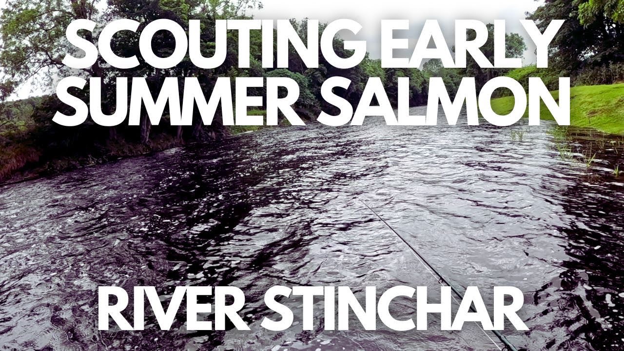 🎣 Scouting For Early Summer Salmon - River Stinchar 🌞