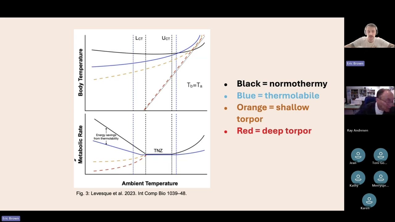 Against the Cold: Overwintering Strategies in Mammals