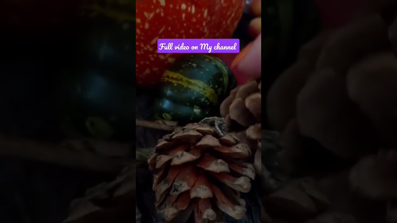 what does a pine cone sound like asmr