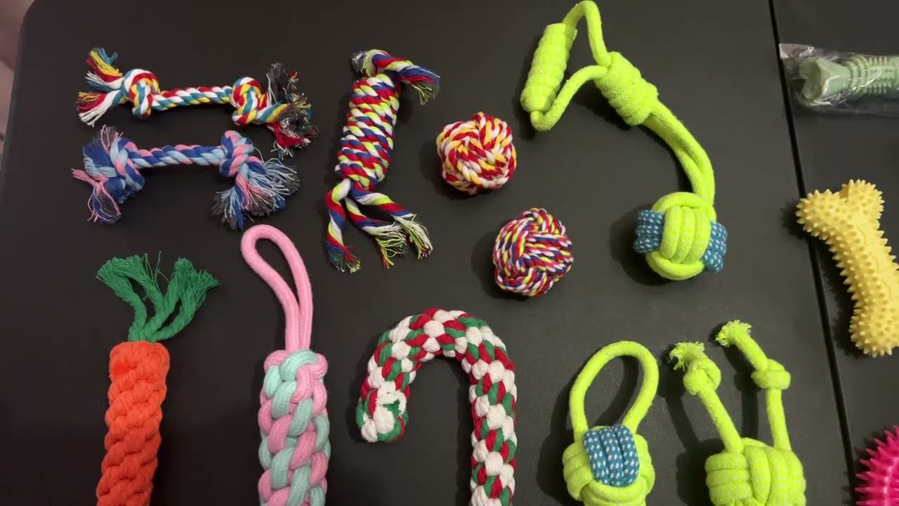 Small Dog Puppy Toys 20 pack gift set
