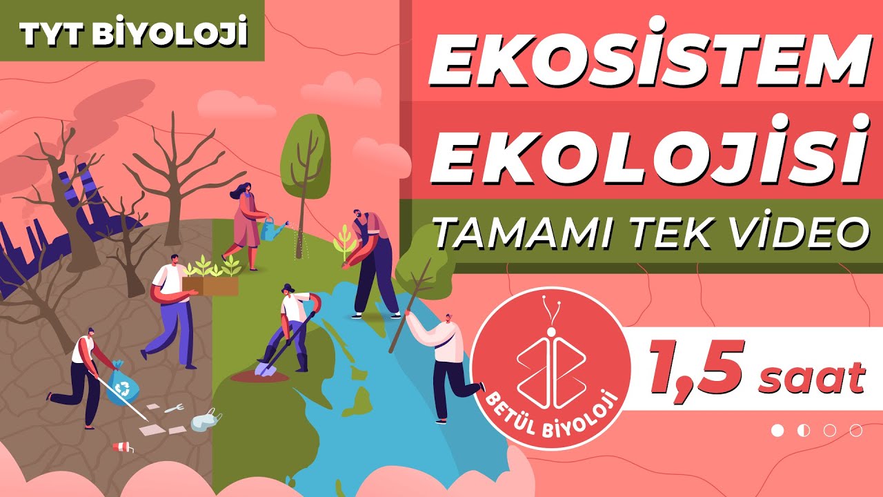 Ekosistem Ekolojisi Tekrar | TAMAMI TEK VİDEO | TYT Biyoloji Konu Anlatımı