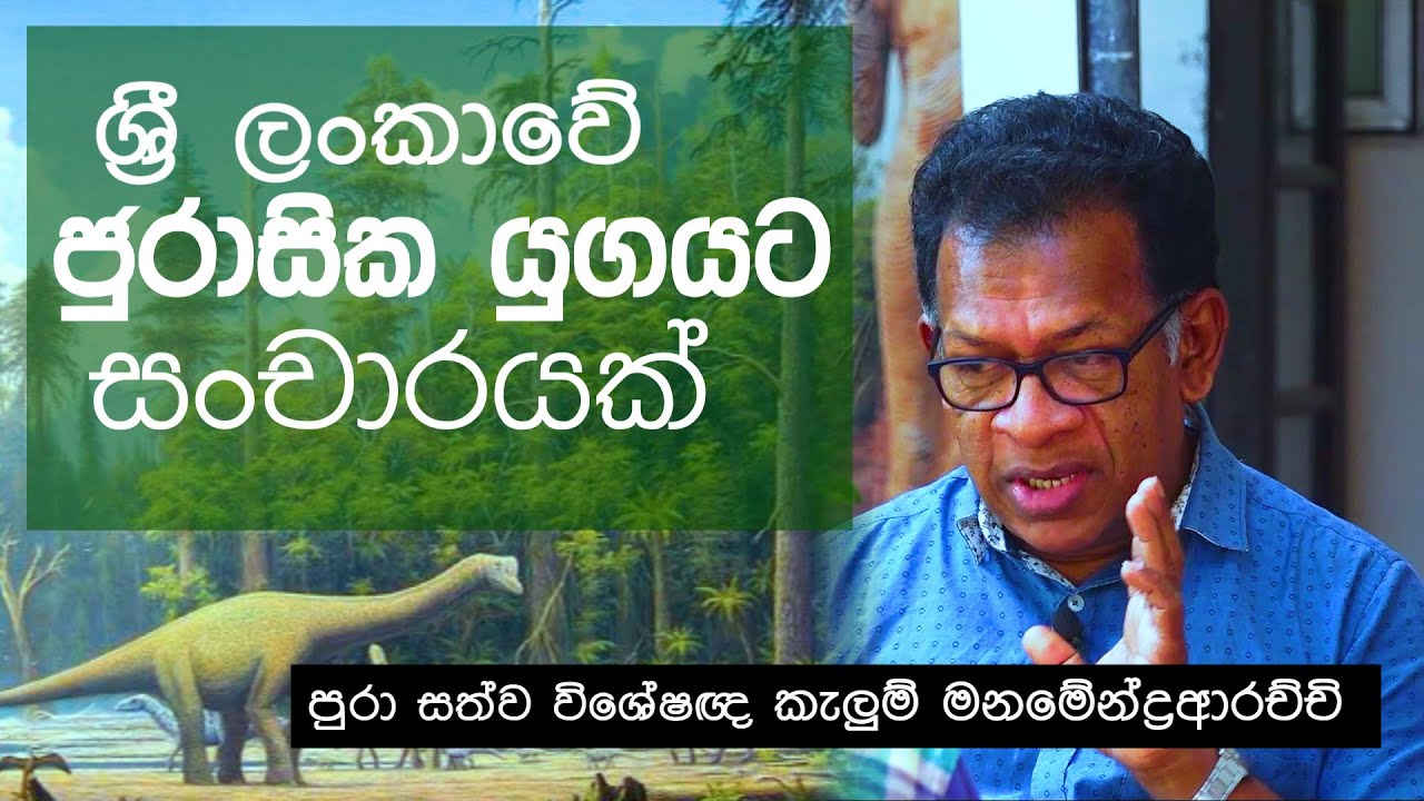 ශ්‍රී ලංකාවේ ජුරාසික යුගයට සංචාරයක් - පුරා සත්ව විශේෂඥ කැලුම් මනමේන්ද්‍රආරච්චි