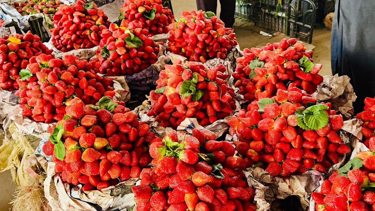 Karachi Sabzi 11 Feb 2026 Mandi rates today| Karachi Fruit | Mandi rates todayKarachi 