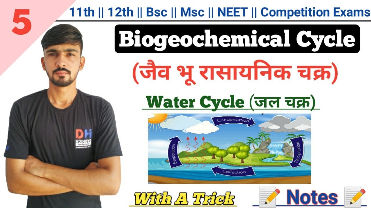 Water Cycle In Hindi || Biogeochemical Cycle || Environmental Biology || By Dadhich Sir