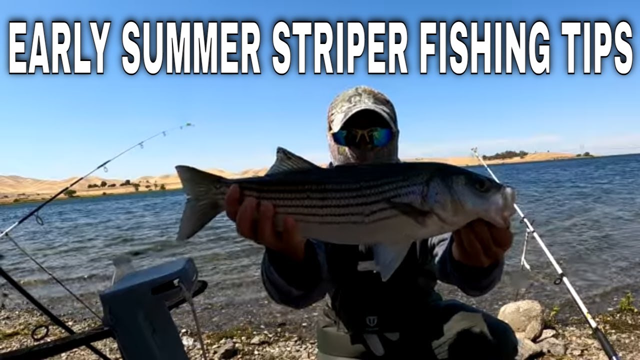 Striper Fishing Big Fish Are Still Here!(O'Neill Forebay Fishing)