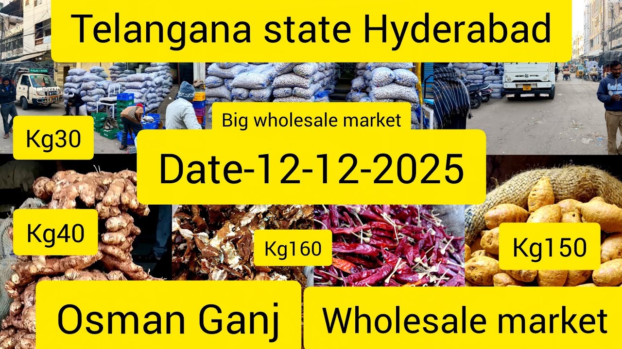 Ginger 🫚 garlic 🧄 chilli 🌶️ turmeric wholesale big  market today price  market  name  osman Ganj  