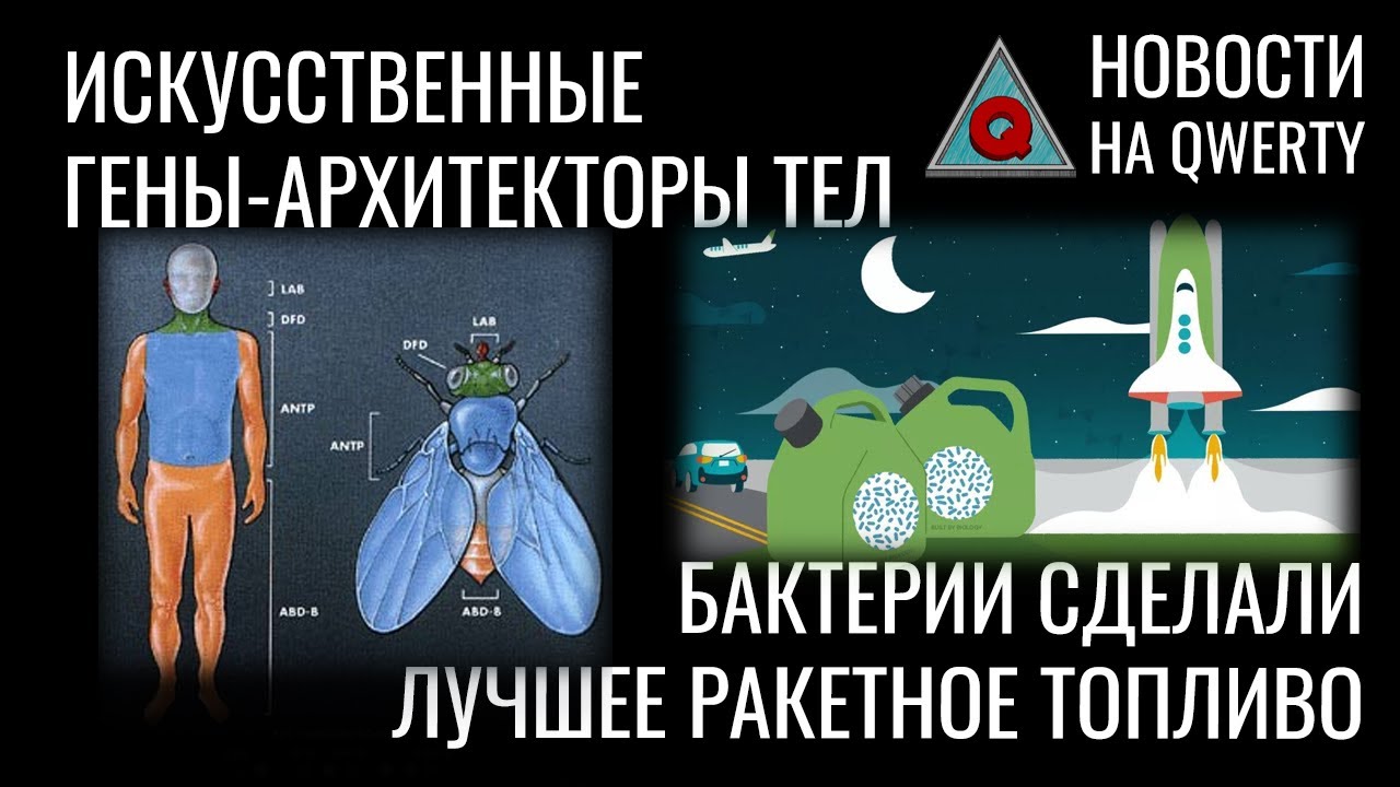 Искусственные HOX-гены. Пополнение &laquo;Зоопарка частиц&raquo;. Бактерии делают топливо. Новости QWERTY №220