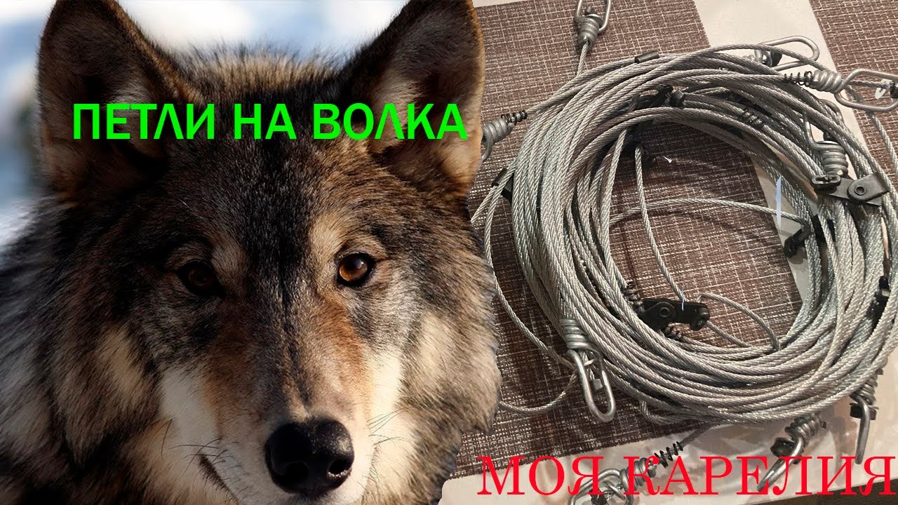 ПЕТЛИ НА ВОЛКА 2023 , ОНИ ПРИХОДИЛИ !!!!!!