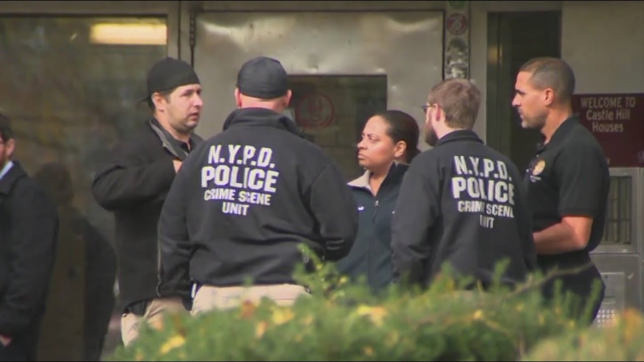 4 found dead in murder-suicide in Bronx apartment: Sources