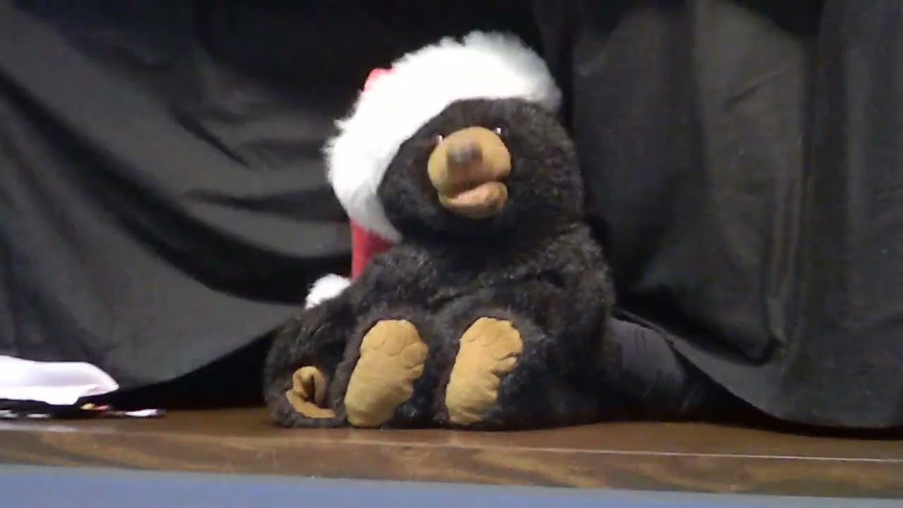 Christmas Puppet Show for Kids - I want a Hippopotamus for Christmas
