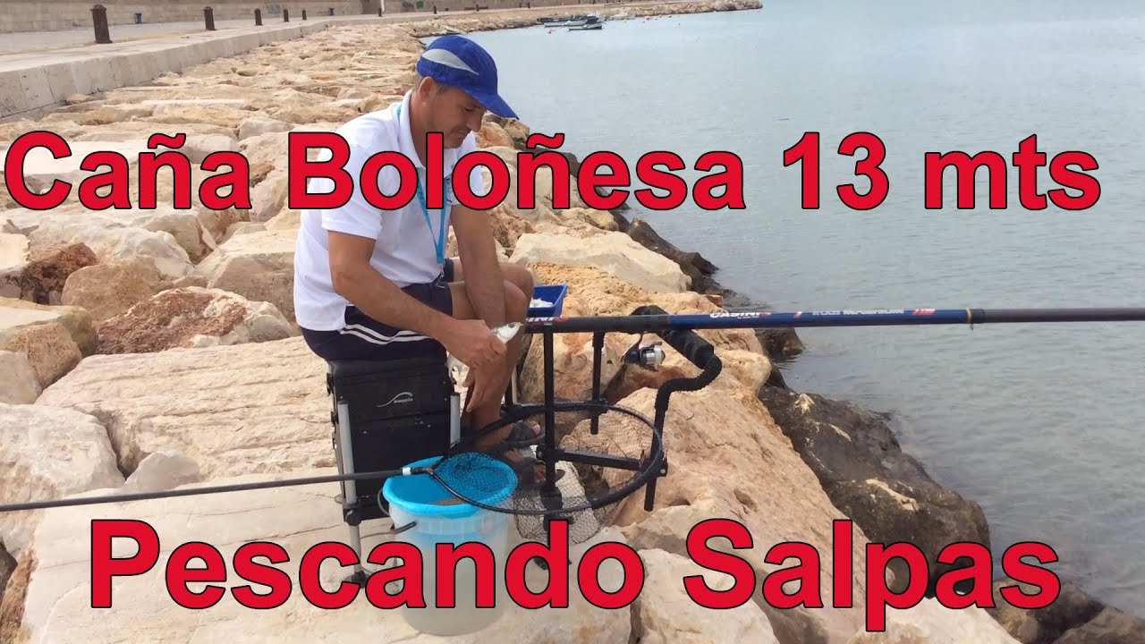 Pescando salpas con Boloñesa de 13 metros en el puerto de Vinaros