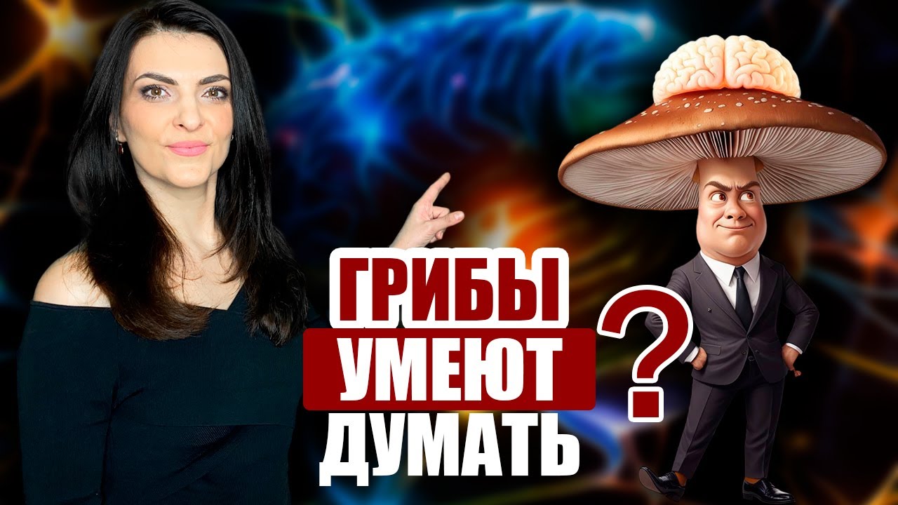 Грибы умеют думать? Исследование ученых