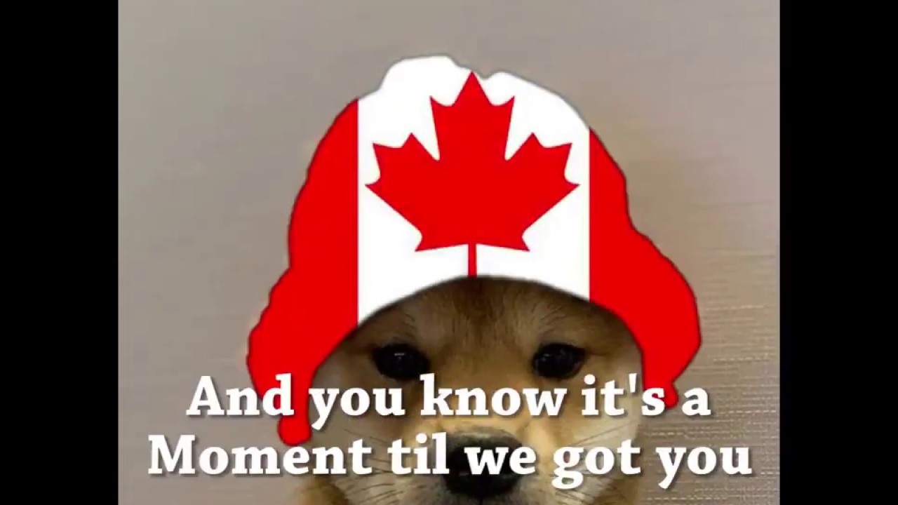 Dog Wif Hat Song *THEME SONG*