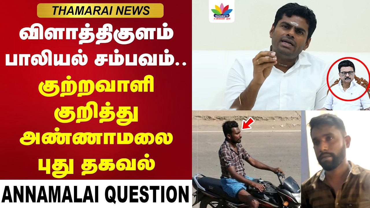 விளாத்திகுளம் சம்பவம்... குற்றவாளி குறித்து அண்ணாமலை சரமாரி கேள்வி | Annamalai Question DMK | DMK