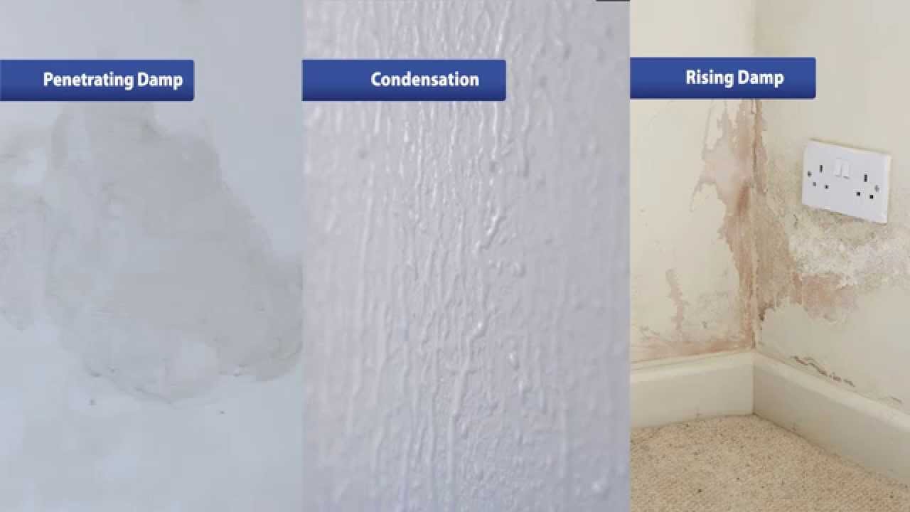 How to Find and Fix Your Damp Problems