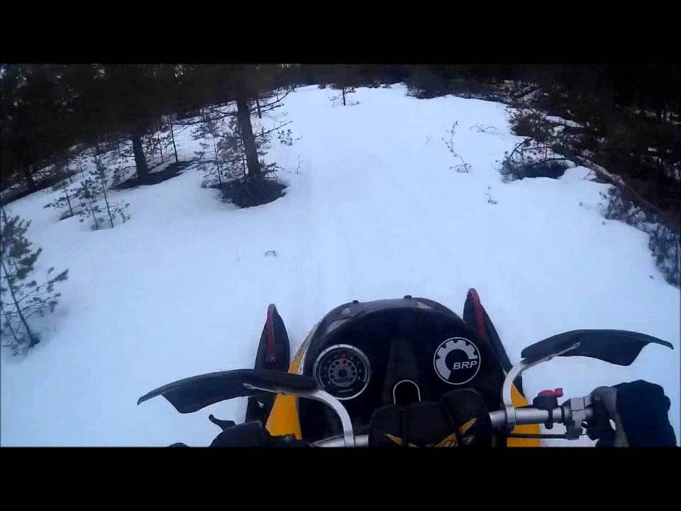 Rutja 2016