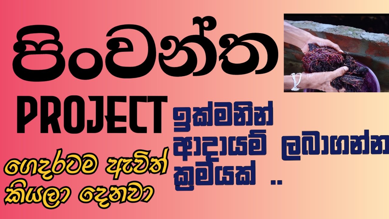 Vermicompost ඉක්මනින්ම ආදායම් ලබාගැනීමට  , පිංවන්ත project