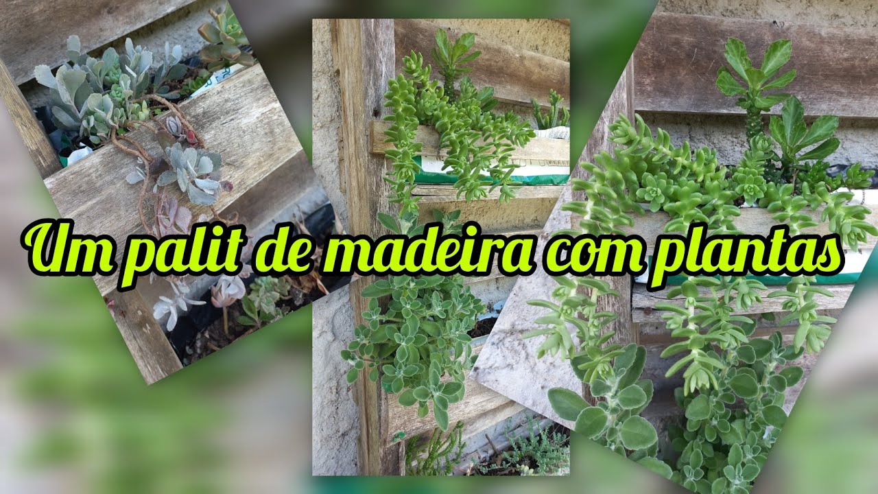 Mais um CANTINHO RENOVADO ~palet com suculentas 