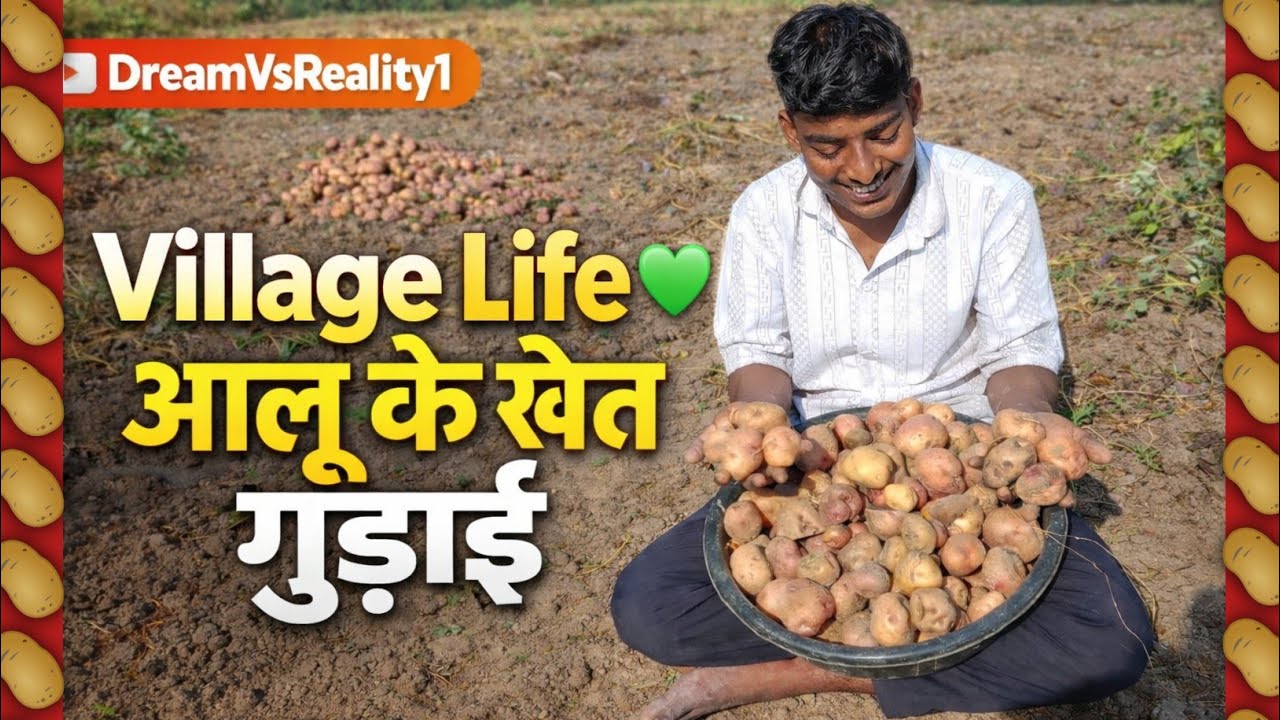 ।। Village Life 💚 | आलू के खेत की गुड़ाई ।। #DreamVsReality1 