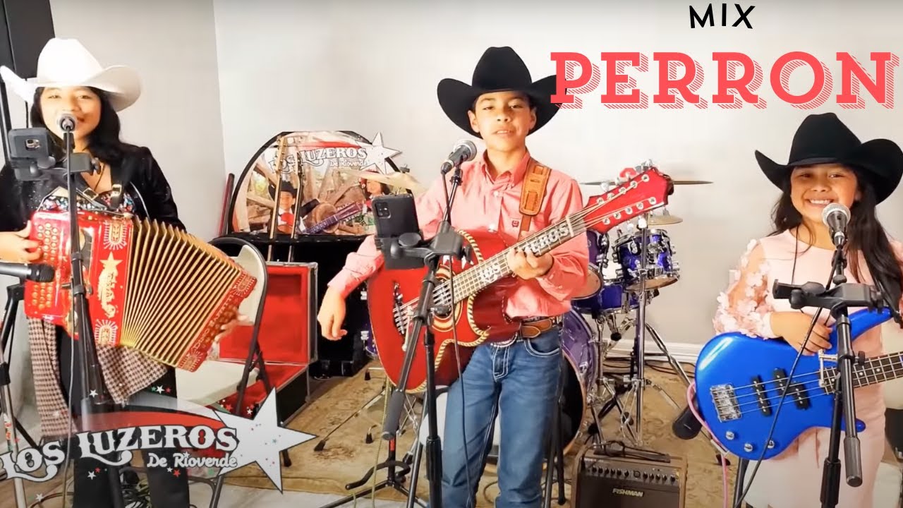 🎶🎵🎸🎷🍻🎸🪗Mix con Los Luzeros🎵🎶