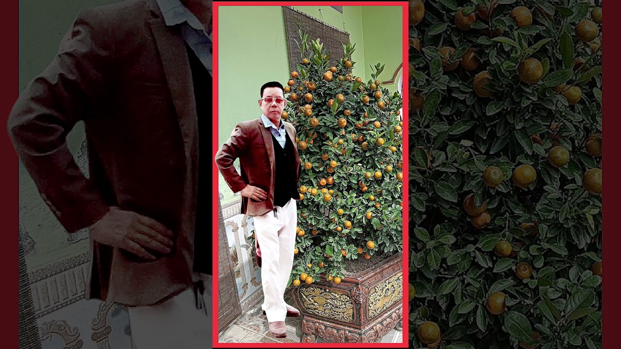 Cũng có tý hương vị của ngày tết 
